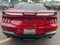 2024 Ford Mustang GT Premium GT Performance Pkg
